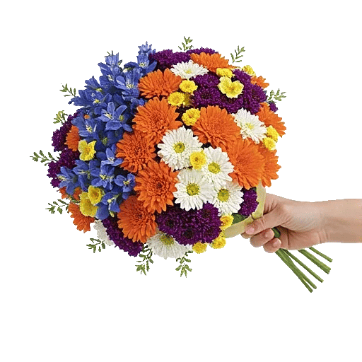 Blossom Harmony Display