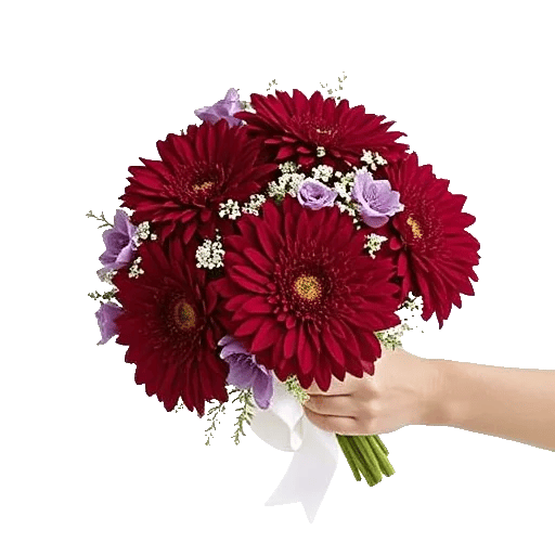 Crimson Blossom Harmony