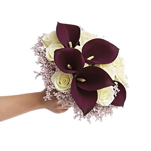 Elegant Calla Lilies