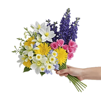 Blossom Harmony Display