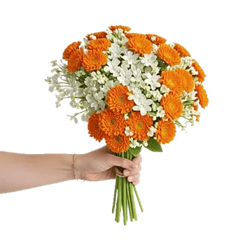 Blossom Harmony Display