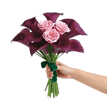 Elegant Calla Lilies