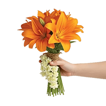 Blossom Glow Symphony