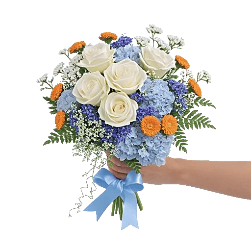 Serene Petal Harmony