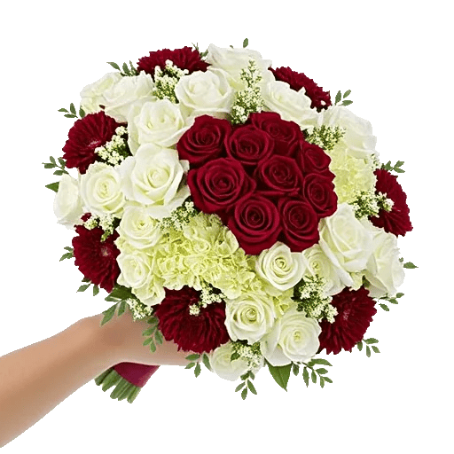 Blushing Rose Symphony