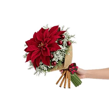 Crimson Rose Elegance