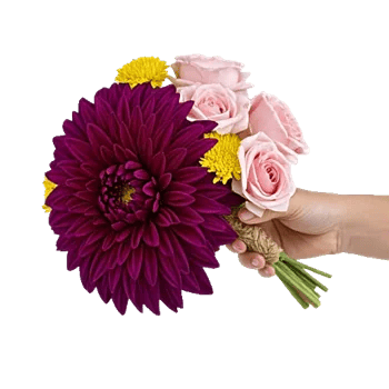 Radiant Bloom Cascade