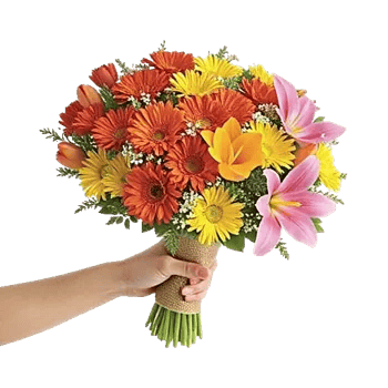 Petal Harmony Bliss