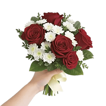 Crimson Rose Elegance