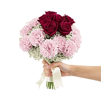 Pastel Pink Roses