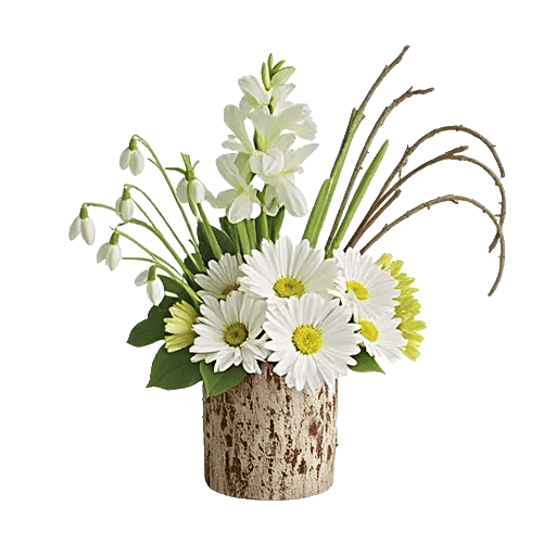 Modern White Orchids