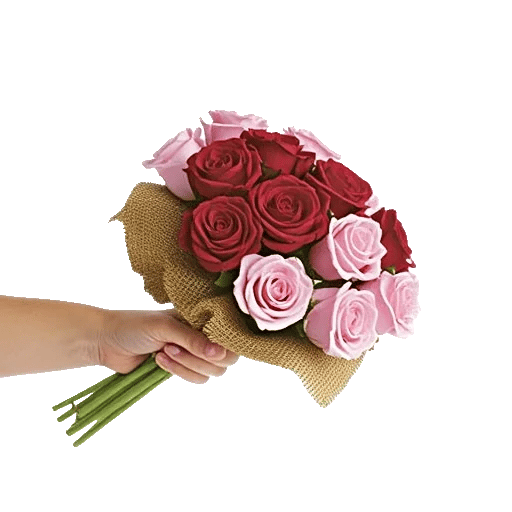 Crimson Rose Elegance