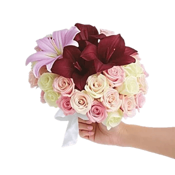 Elegant Calla Lilies