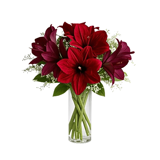 Crimson Blossom Harmony