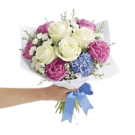 Serene Petal Harmony