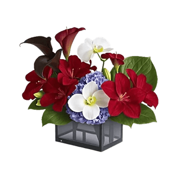 Elegant Calla Lilies