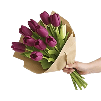 Velvet Tulip Display