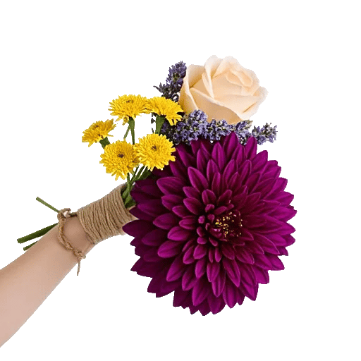 Crimson Blossom Harmony