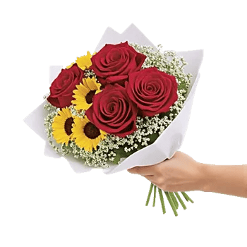 Crimson Rose Elegance