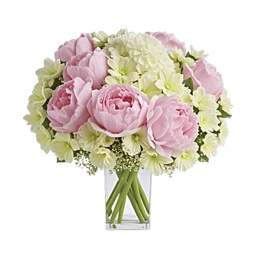 Petal Radiance Bliss