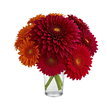 Crimson Blossom Harmony