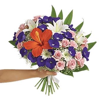 Petal Radiance Bliss