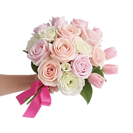 Pastel Pink Roses