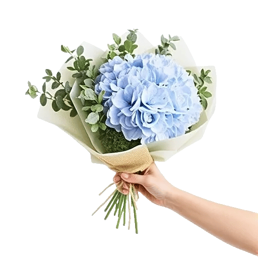 Sapphire Bloom Whisper
