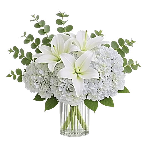 Ivory Blossom Radiance