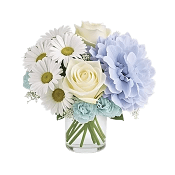 Serene Petal Harmony