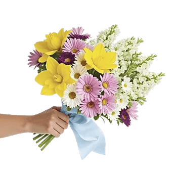 Blossom Harmony Display