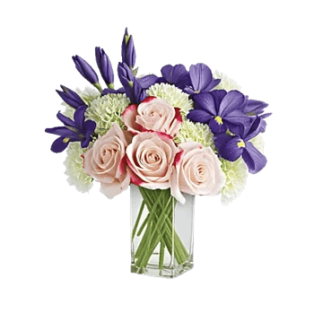 Ivory Blossom Radiance