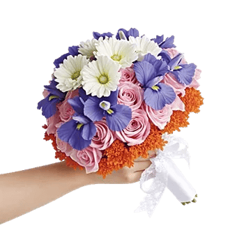 Ivory Blossom Radiance