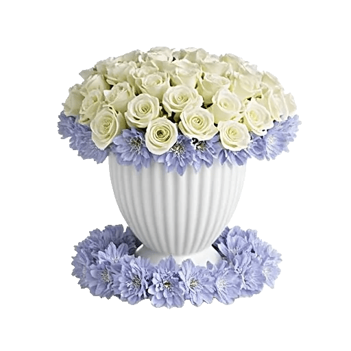 Ivory Blossom Radiance