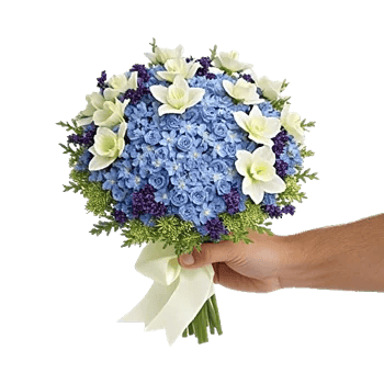 Blossom Petal Serenity