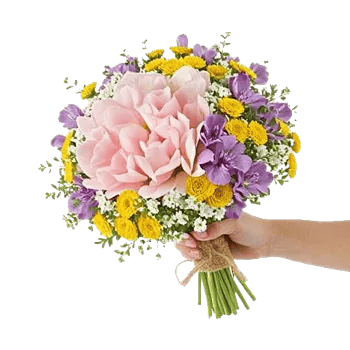 Serene Petal Harmony