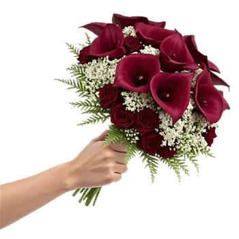 Elegant Calla Lilies