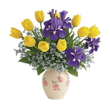 Velvet Tulip Display