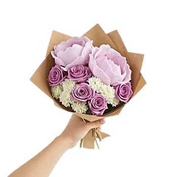 Peony Petal Harmony
