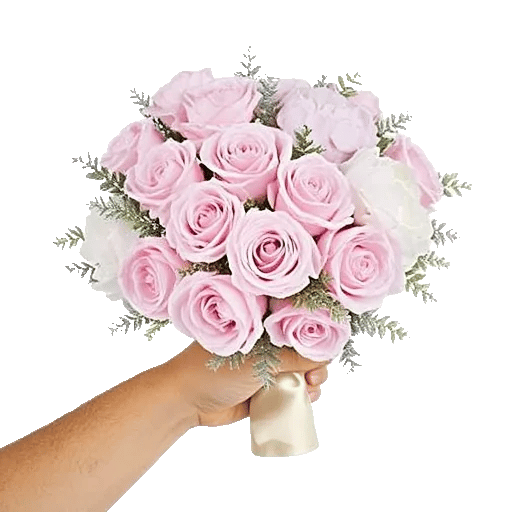 Pastel Pink Roses