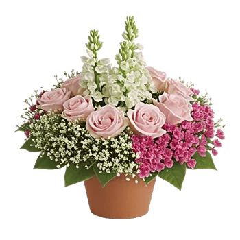 Graceful Lily Display