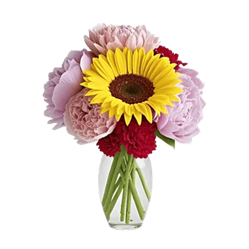 Petal Radiance Bliss