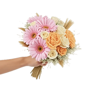 Pastel Pink Roses