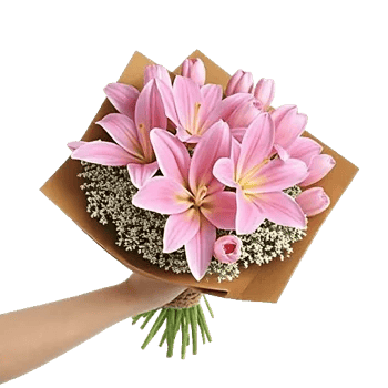 Blossom Harmony Display