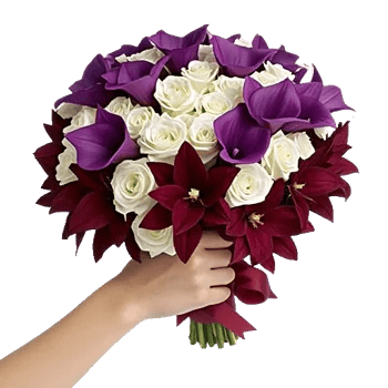 Elegant Calla Lilies