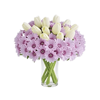 Velvet Tulip Display