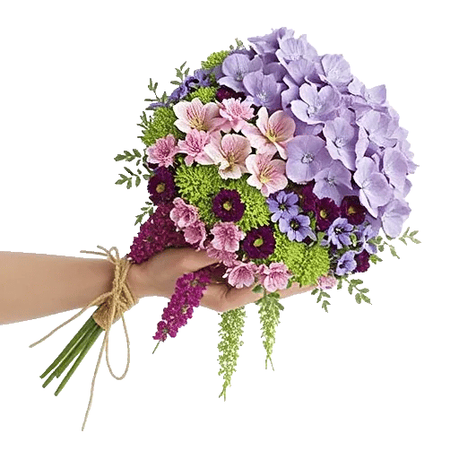 Serene Petal Harmony