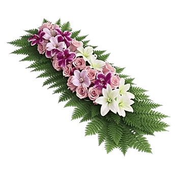 Orchid Bloom Cascade