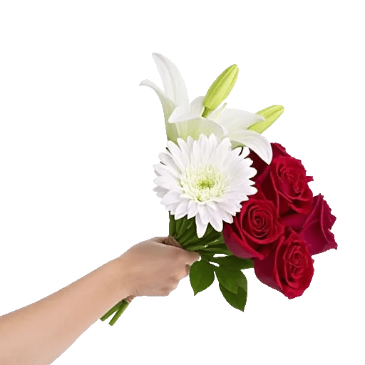 Crimson Rose Elegance