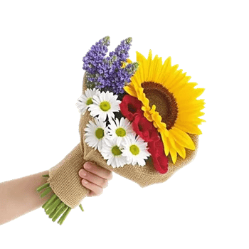 Twinkling Sunflower Dance